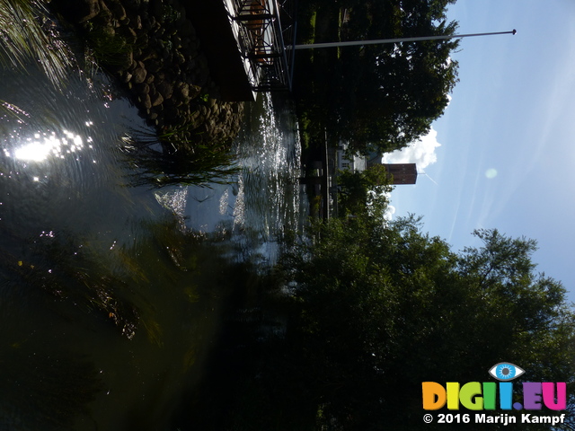 FZ033250 Stream